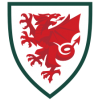 Wales matchkläder